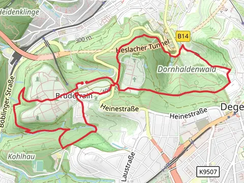 Schwälblesklinge Loop