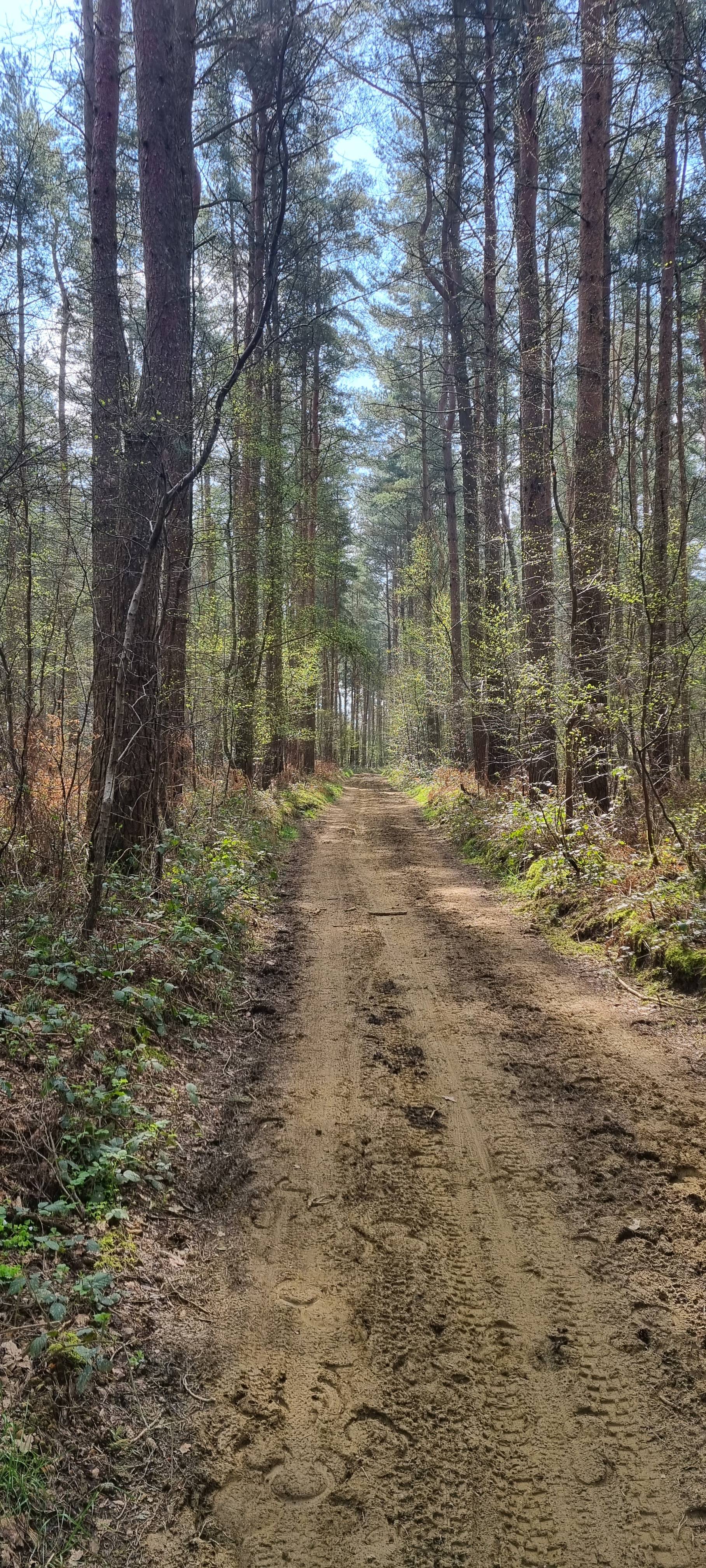 A map preview of the recording Dorking to Leith Hill Hike.