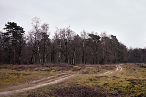 Rijwietpad and Visserspad, Oosterduinen Loop