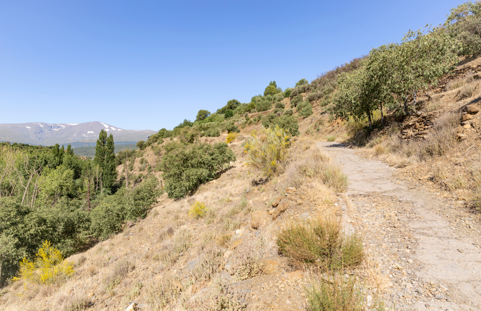 An image depicting the trail PR A31 Jérez del Marquesado - Postero Alto and its surrounding area.
