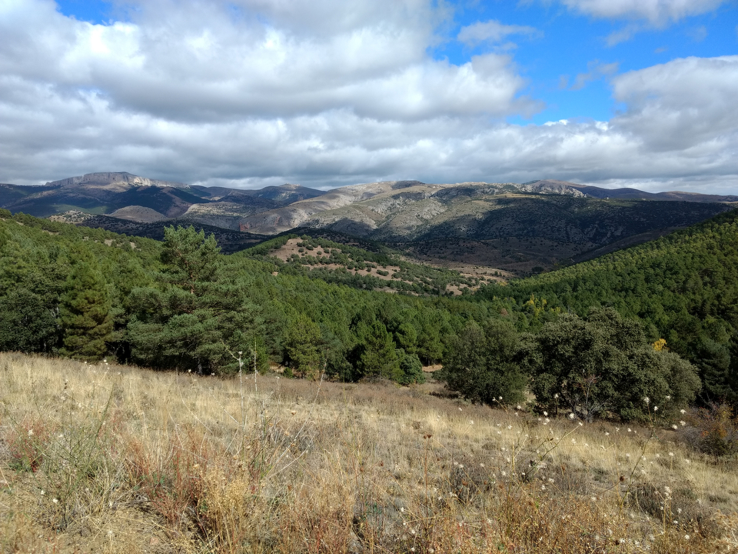 An image depicting the trail Tour of the Calcena Plain PR Z 6 and its surrounding area.