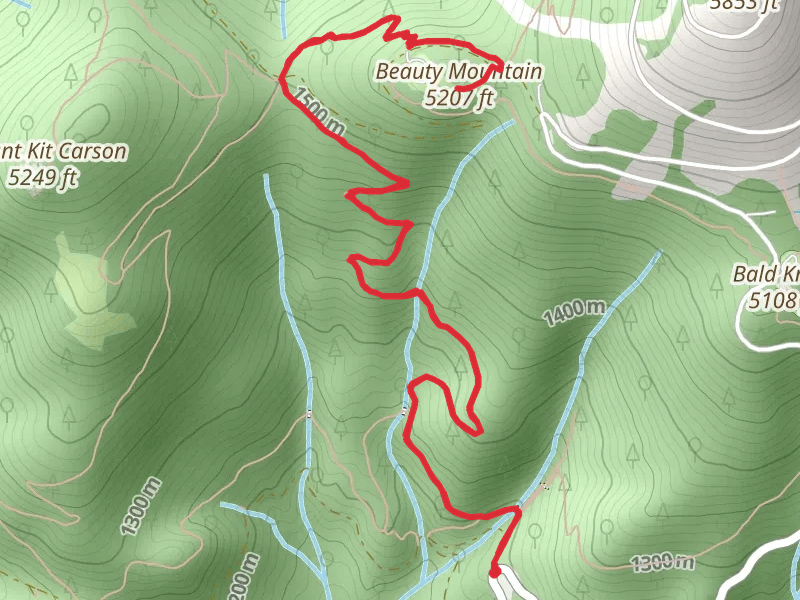 Beauty Mountain via Trail 110