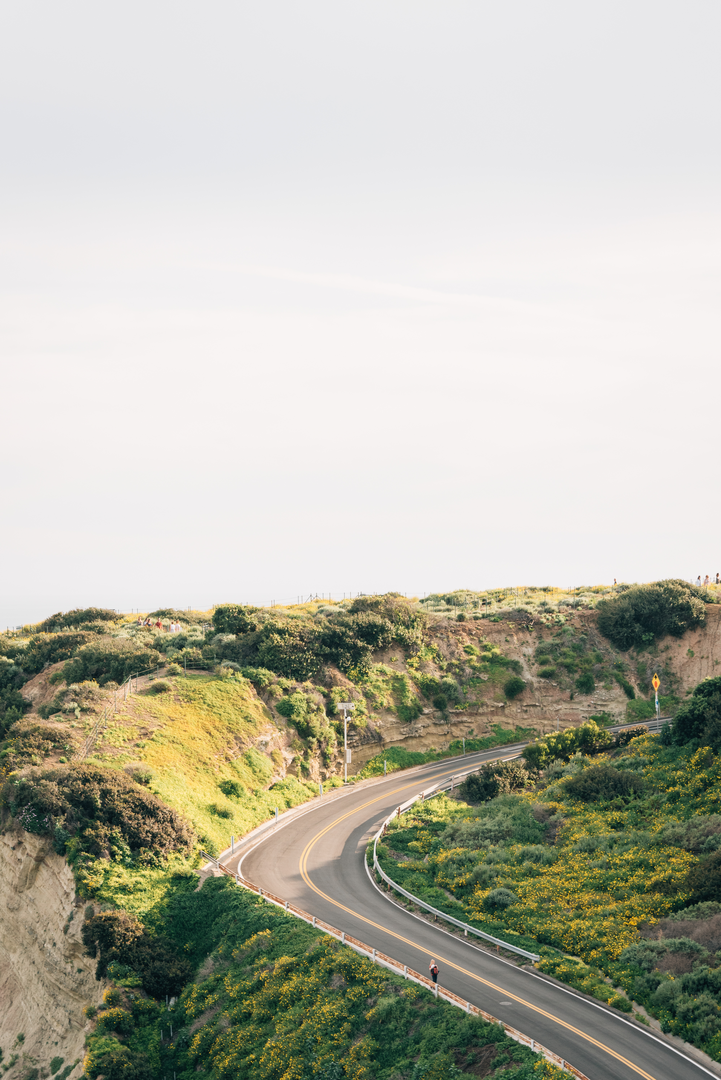 An image depicting the trail Cove Road and its surrounding area.