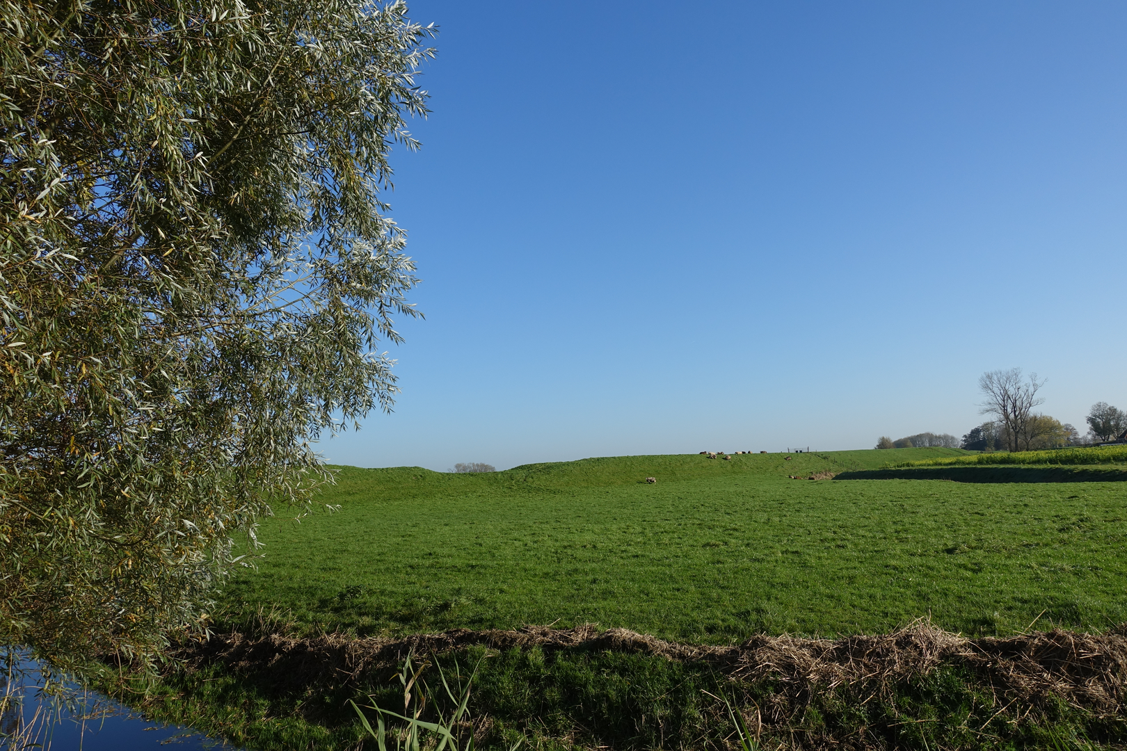 An image depicting the trail Garnwerd, Feerwerd and Medenertilsterpolder Loop and its surrounding area.
