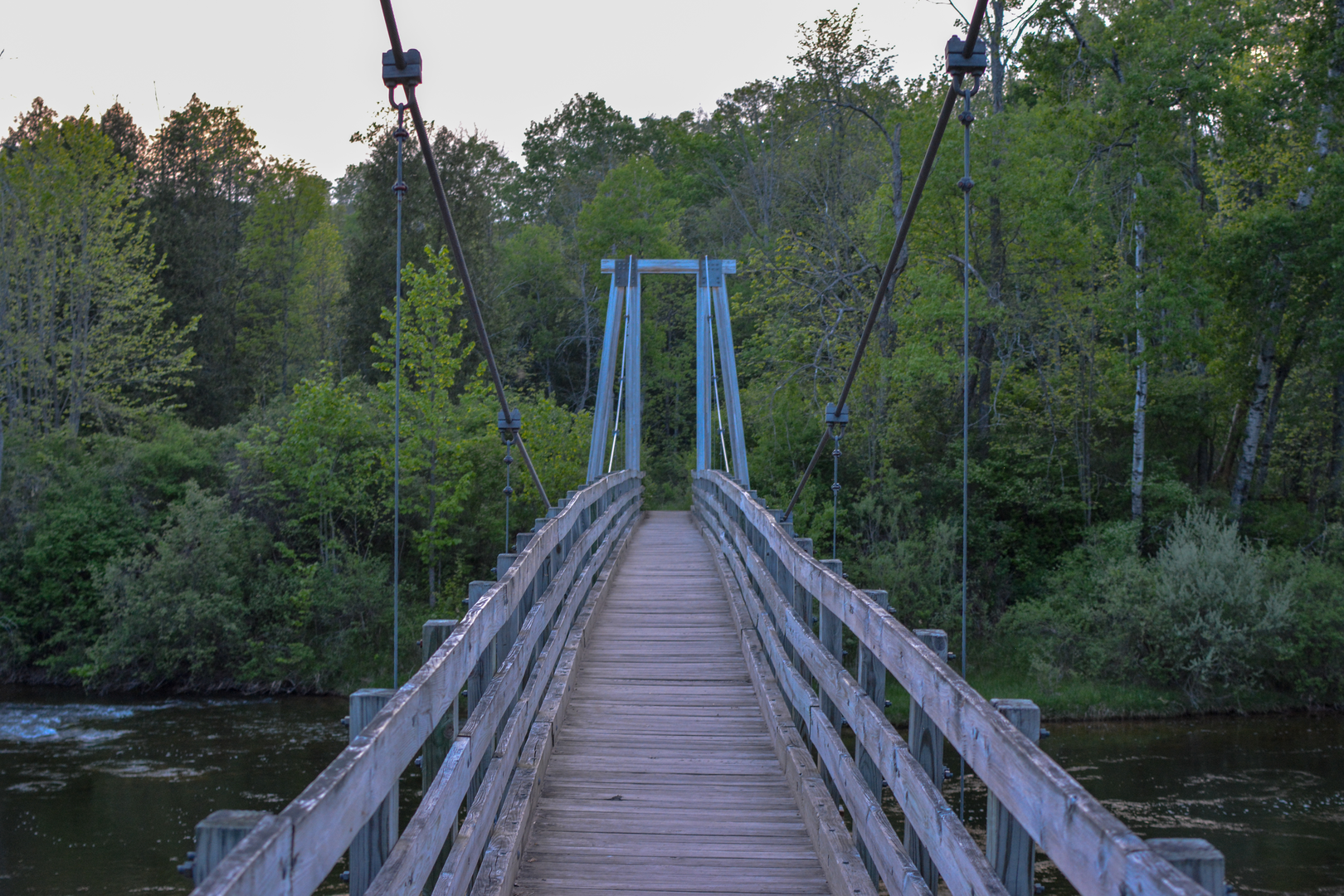 An image depicting the trail North Country Trail - Manistee River Trail Loop and its surrounding area.