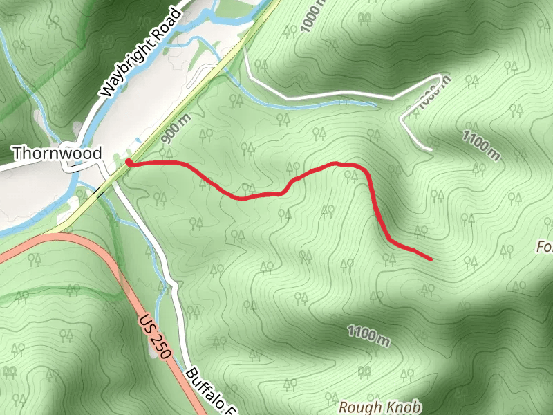 Smoke Camp Trail
