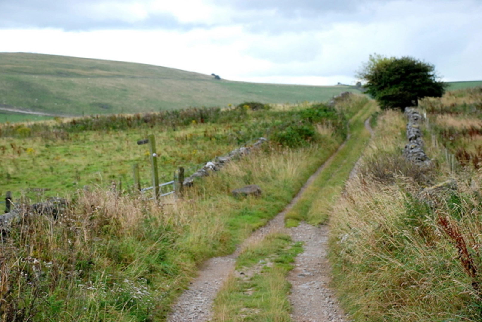 An image depicting the trail Walnut Tree Bottom and The Roughs and its surrounding area.