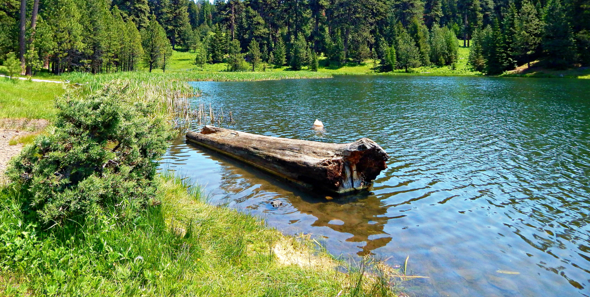 An image depicting the trail Walton Lake Trail and its surrounding area.