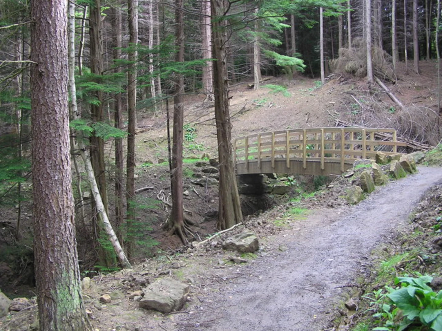 An image depicting the trail Riverside Walk and Spurlswood Walk and its surrounding area.