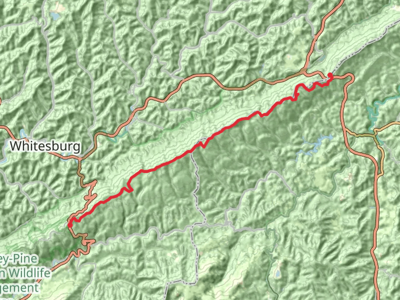 Pine Mountain Trail from Pound Gap