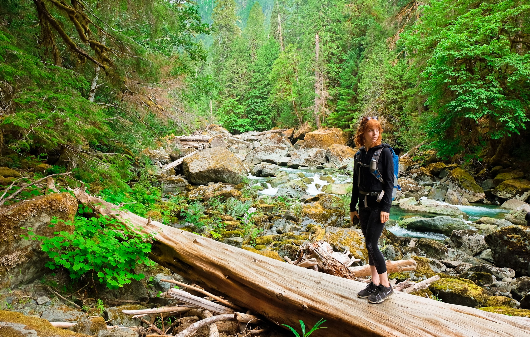 An image depicting the trail Pacific Northwest Trail and its surrounding area.