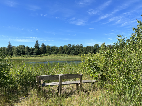 De kuilen and Kuinderbos Loop
