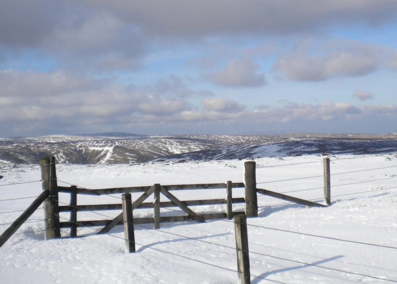 An image depicting the trail Black Knowe and Windlestraw Law Loop from Innerleithen and its surrounding area.