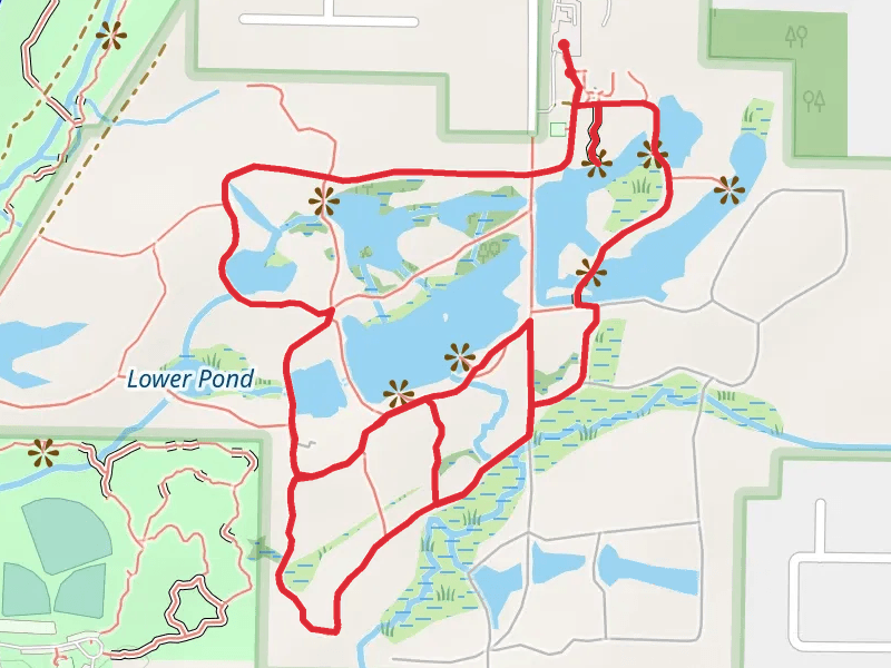 Flattail Lake - Hidden Pond and Lily Pond Loop