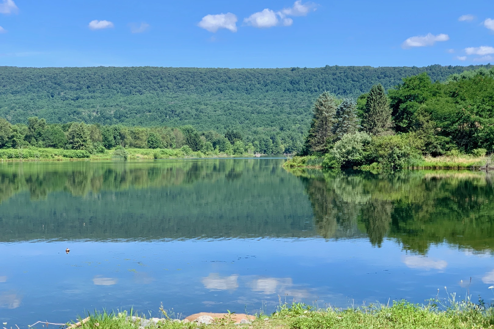 An image depicting the trail Leaser Lake Loop and its surrounding area.