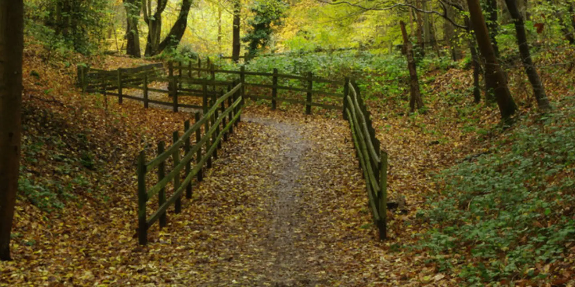 An image depicting the trail Ayot Green Circular and its surrounding area.