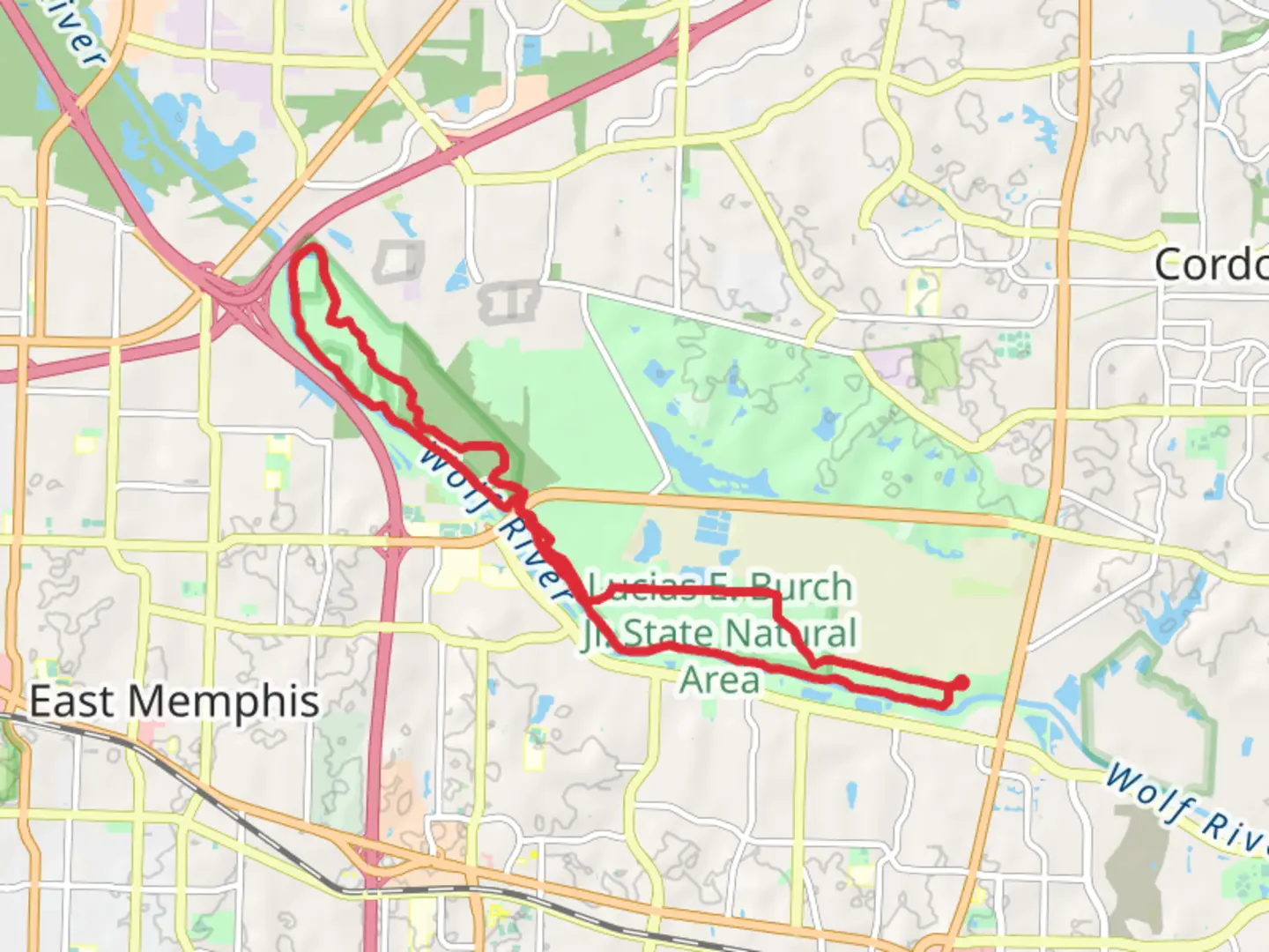 An image depicting the trail Wolf River Loop Trail and its surrounding area.