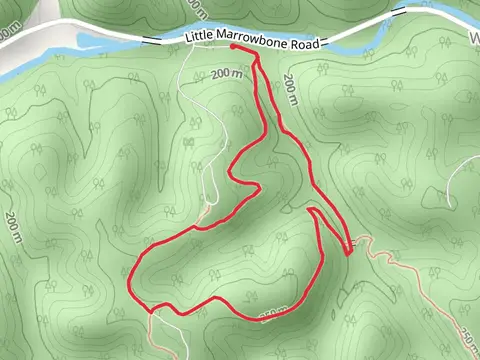Henry Hollow Loop Trail