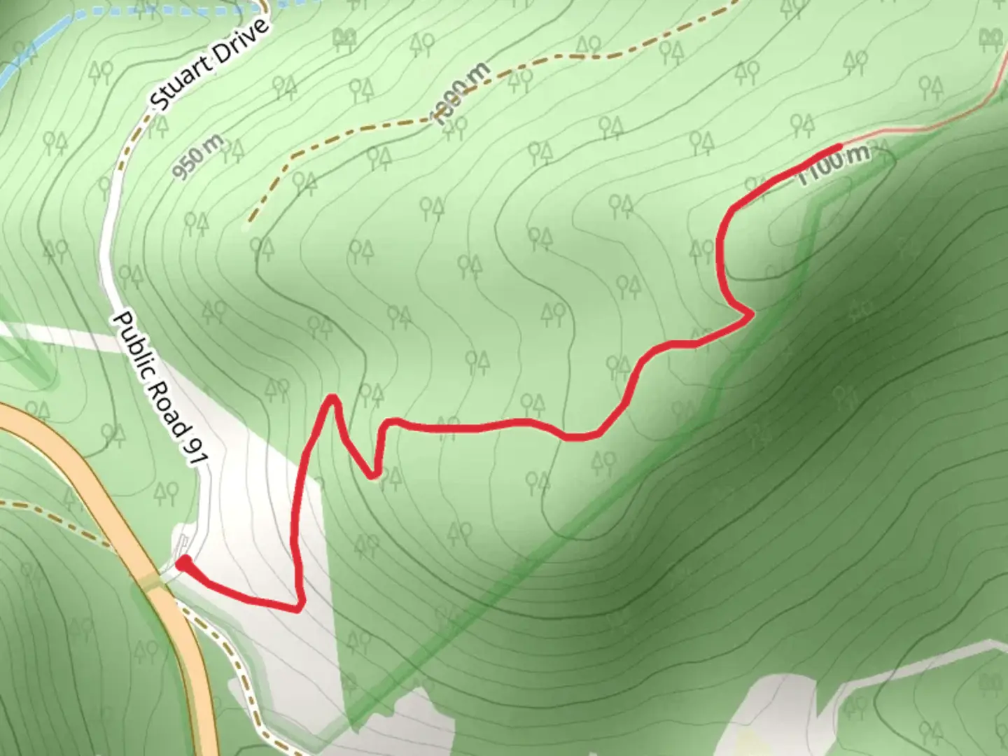 An image depicting the trail Shavers Mountain Trail Out and Back and its surrounding area.