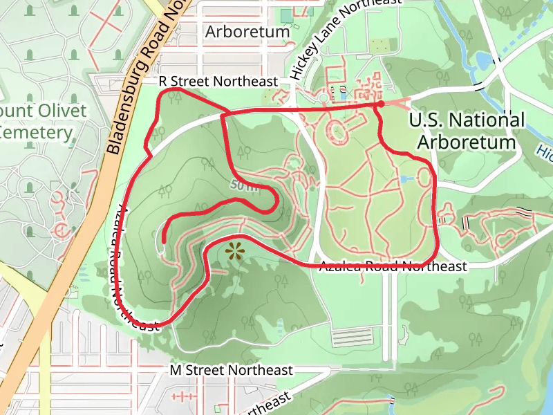 Mount Hamilton Loop - Friendship Garden