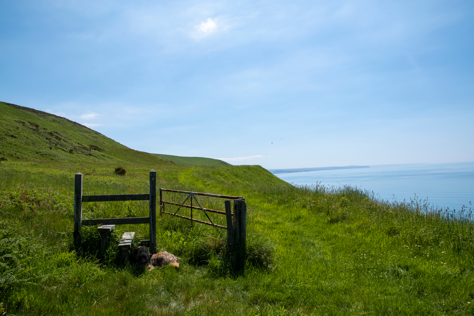 An image depicting the trail Byrlip and Ceredigion Coast Path from New Quay and its surrounding area.