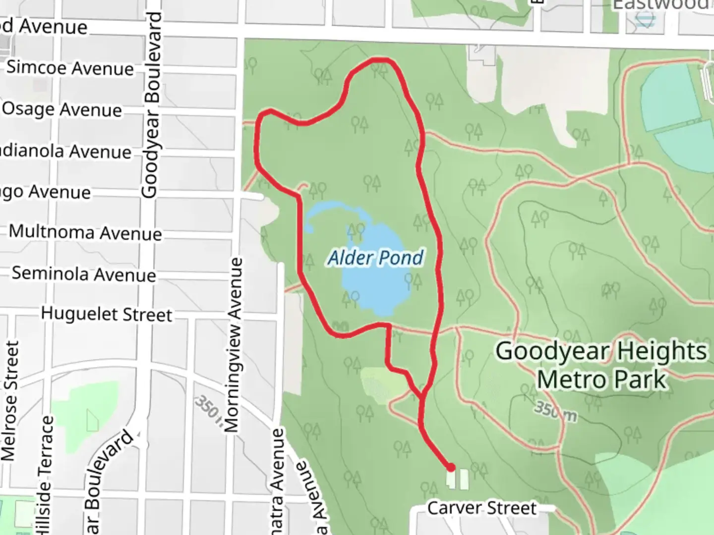 An image depicting the trail Alder Pond Loop and its surrounding area.