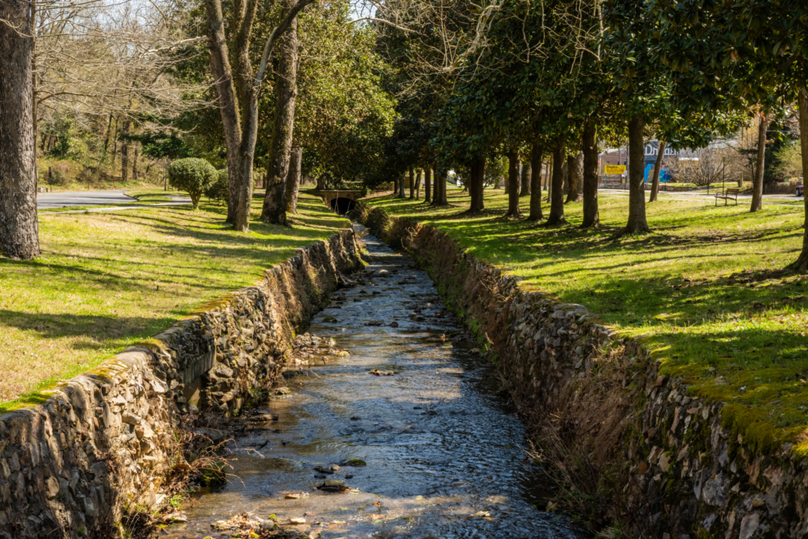 An image depicting the trail Whittington Trail and its surrounding area.