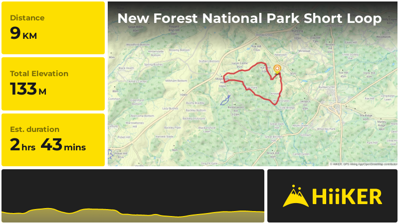 New Forest National Park Short Loop | Hampshire | England