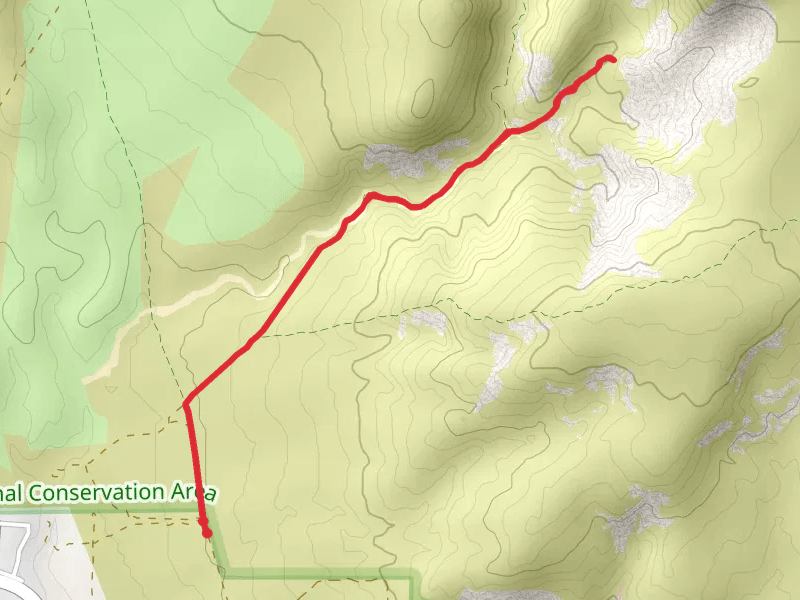 Bone Wash Trail