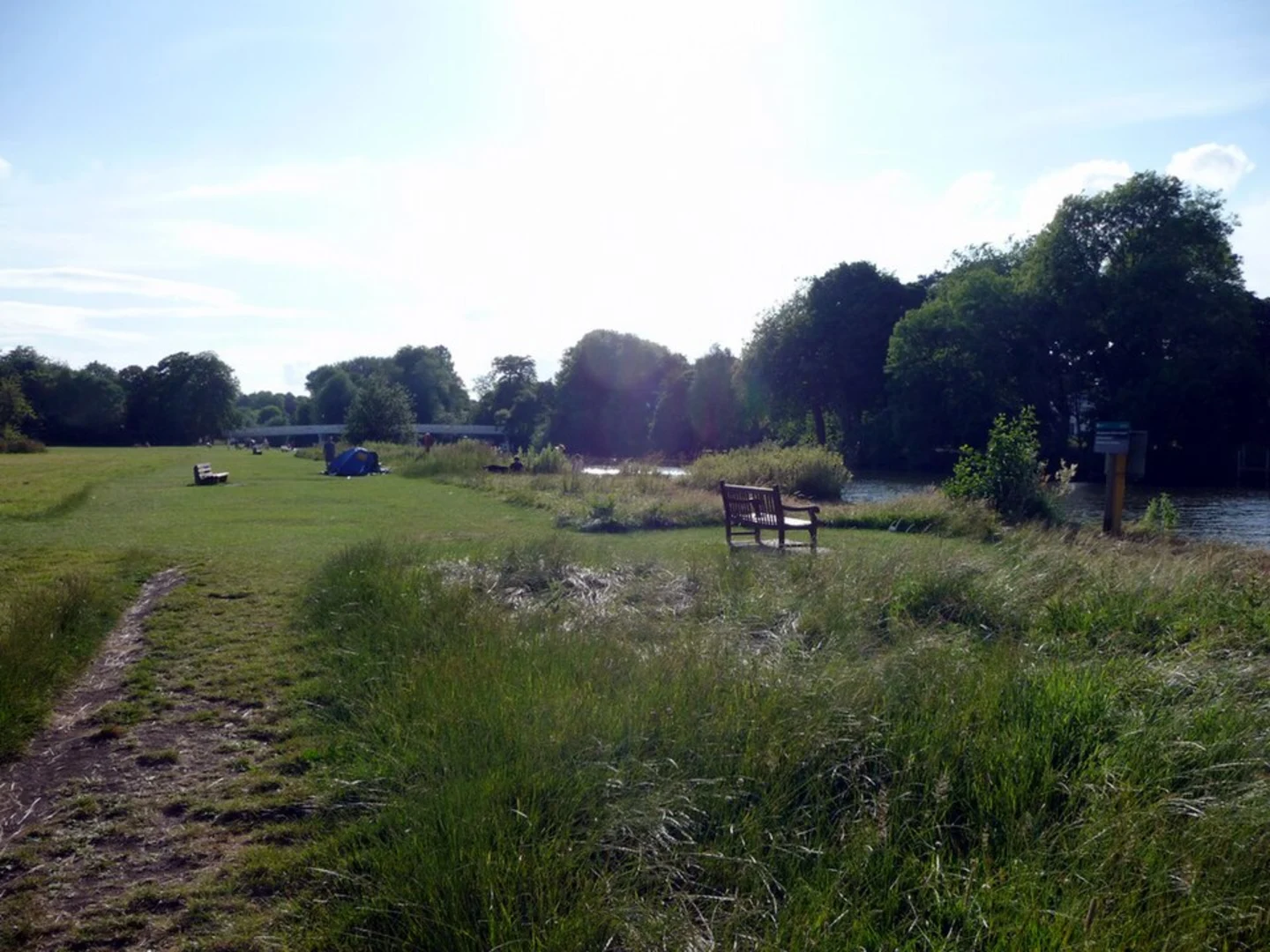 An image depicting the trail Pangbourne Meadows Loop and its surrounding area.