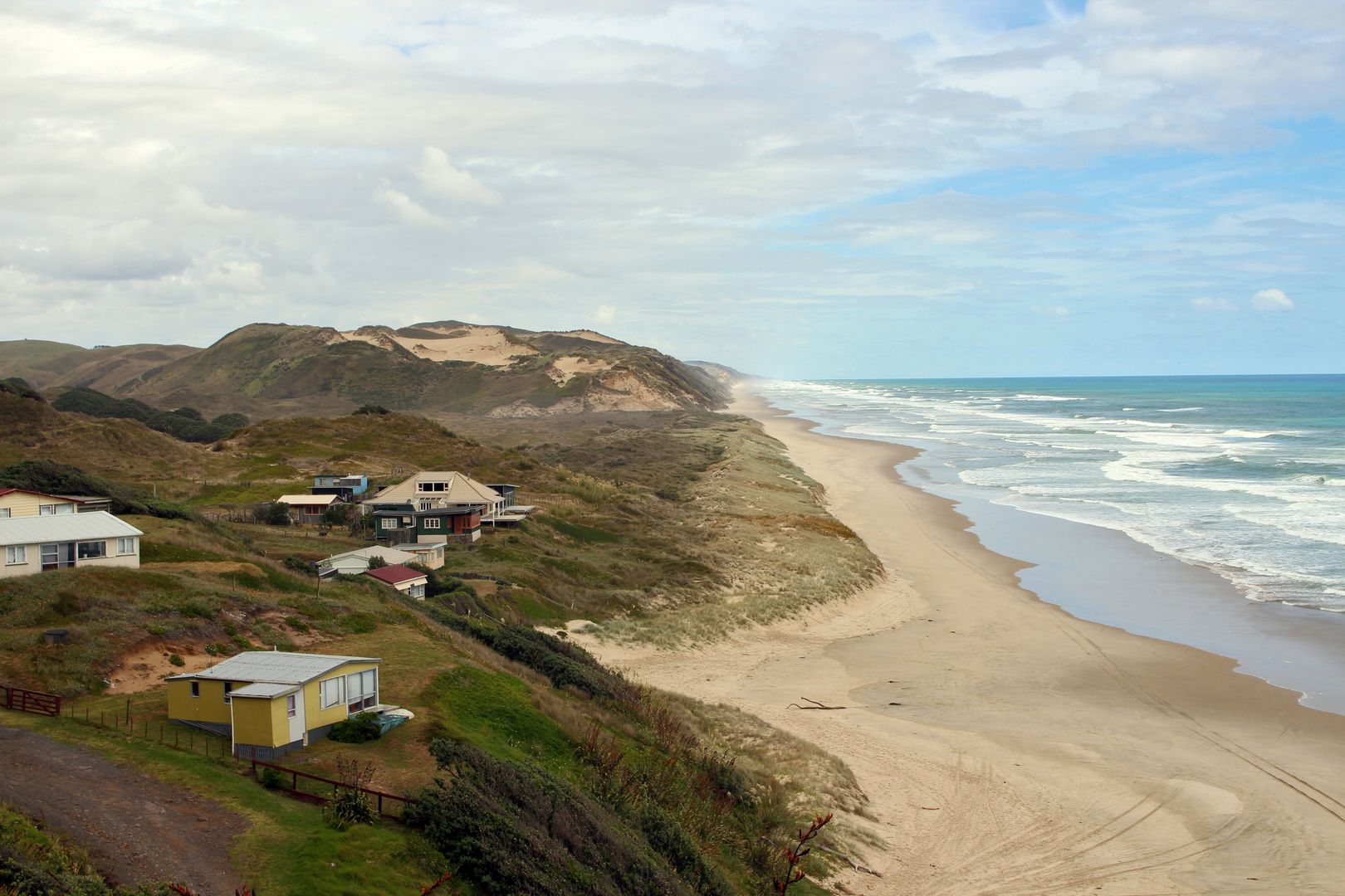 An image depicting the trail Maunganui Bluff Track and its surrounding area.