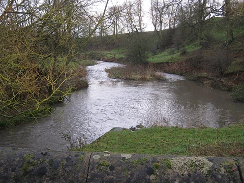 Springfield Park and Newton Ketton Loop