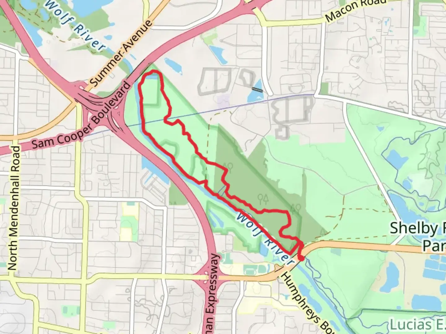 An image depicting the trail Wolf River Trail Blue and Yellow Loop Trail and its surrounding area.