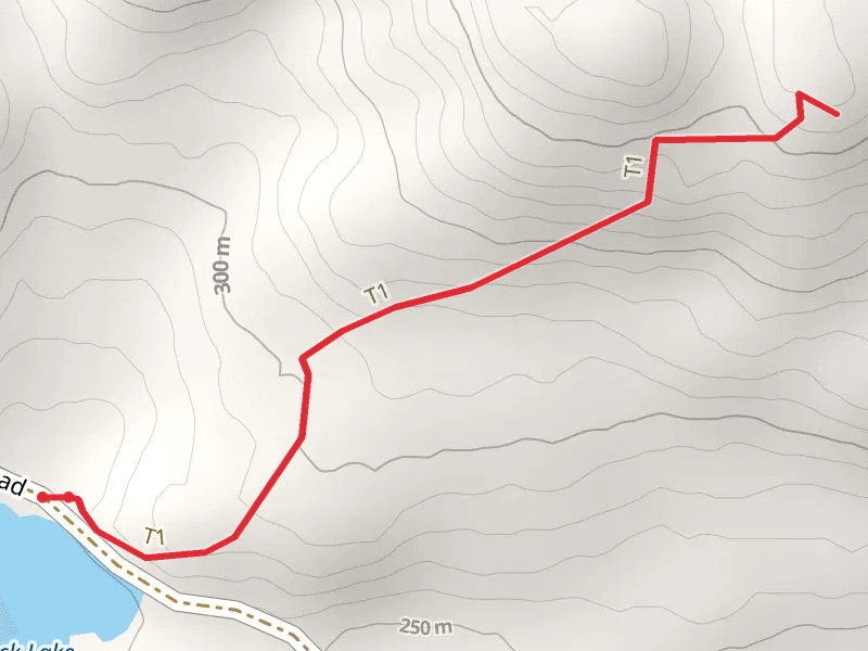 Bear Mountain Trail