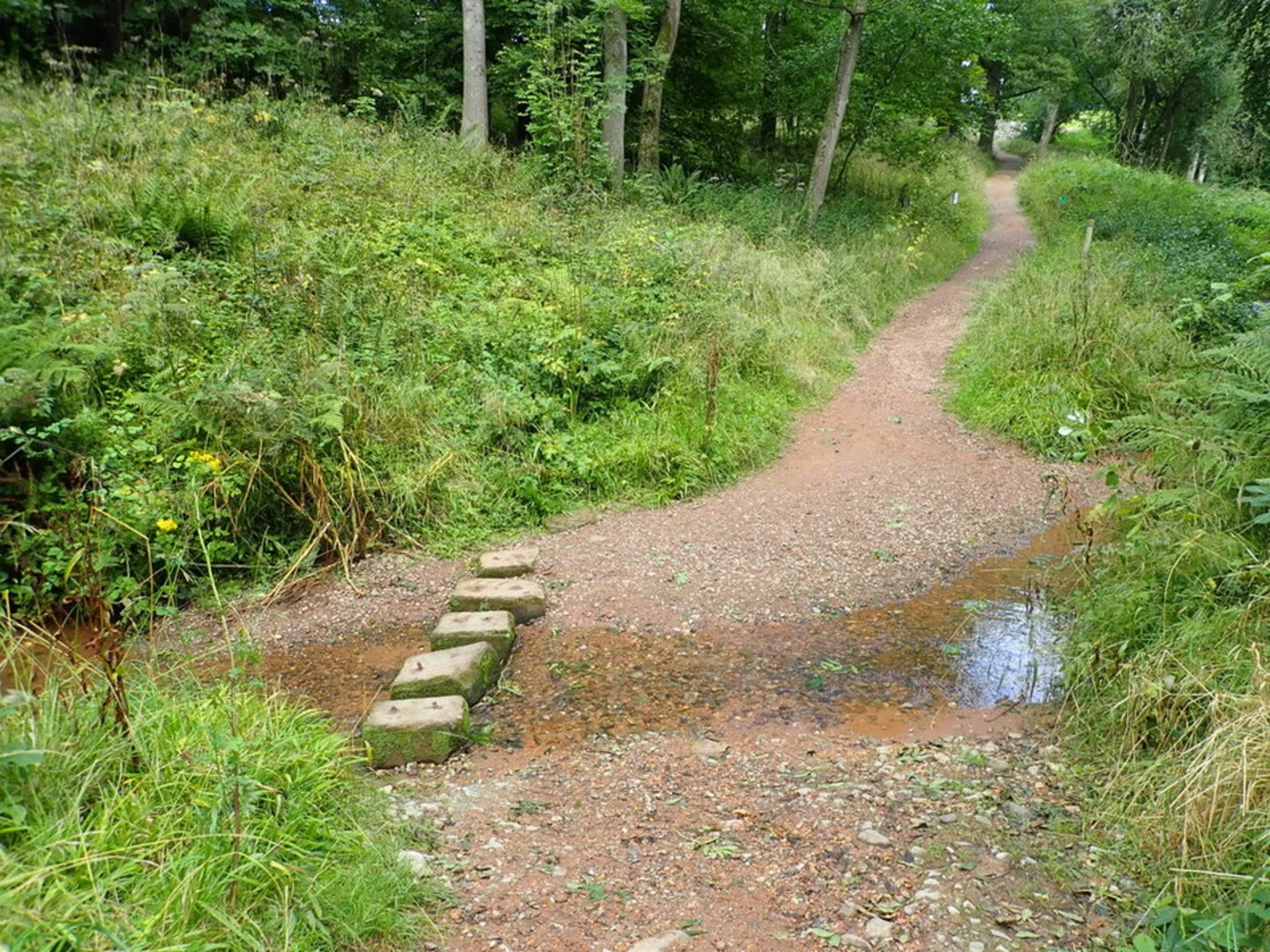 An image depicting the trail Dudmaston Hall Loop and its surrounding area.