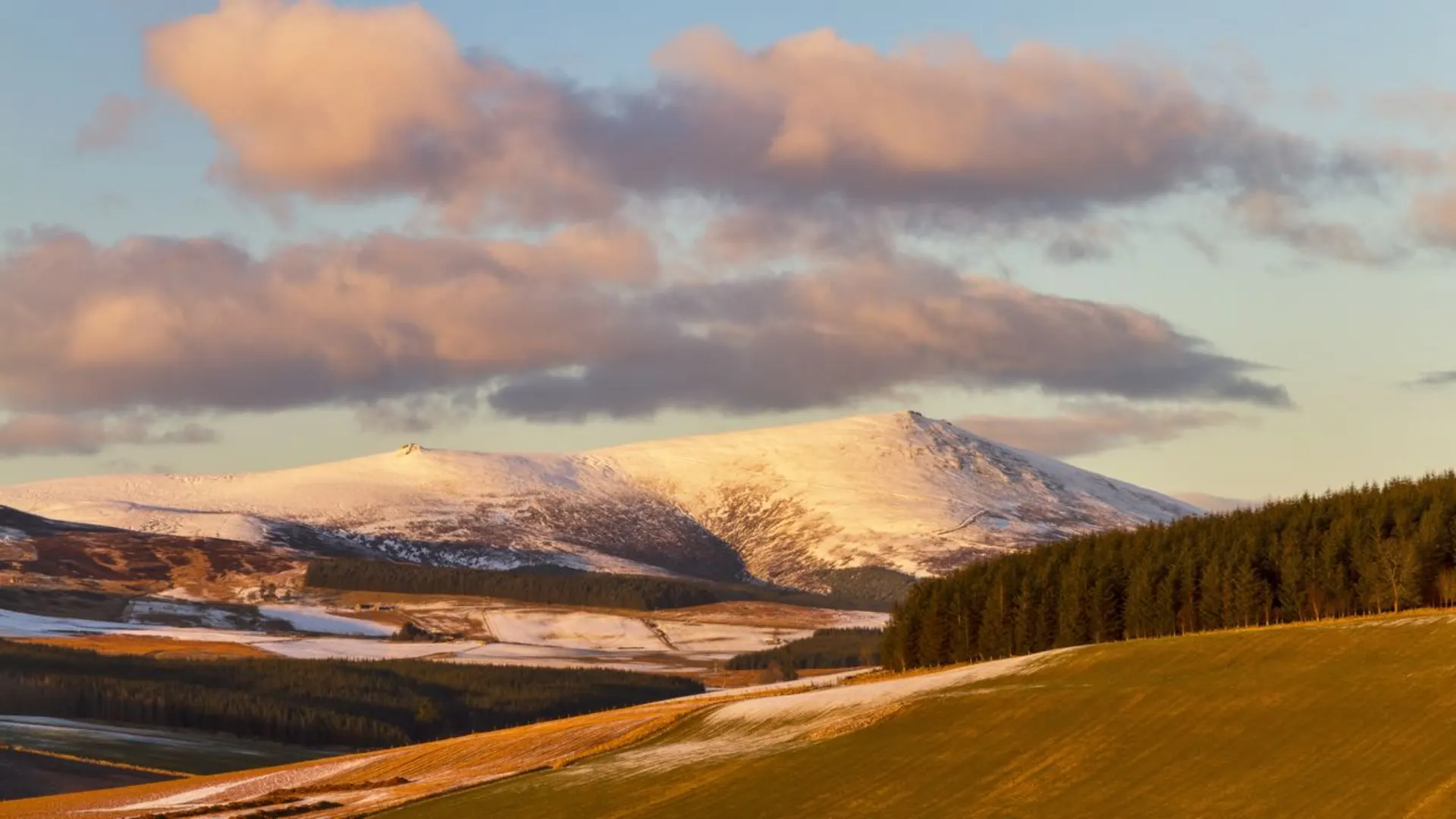 An image depicting the trail Speyside Way and its surrounding area.