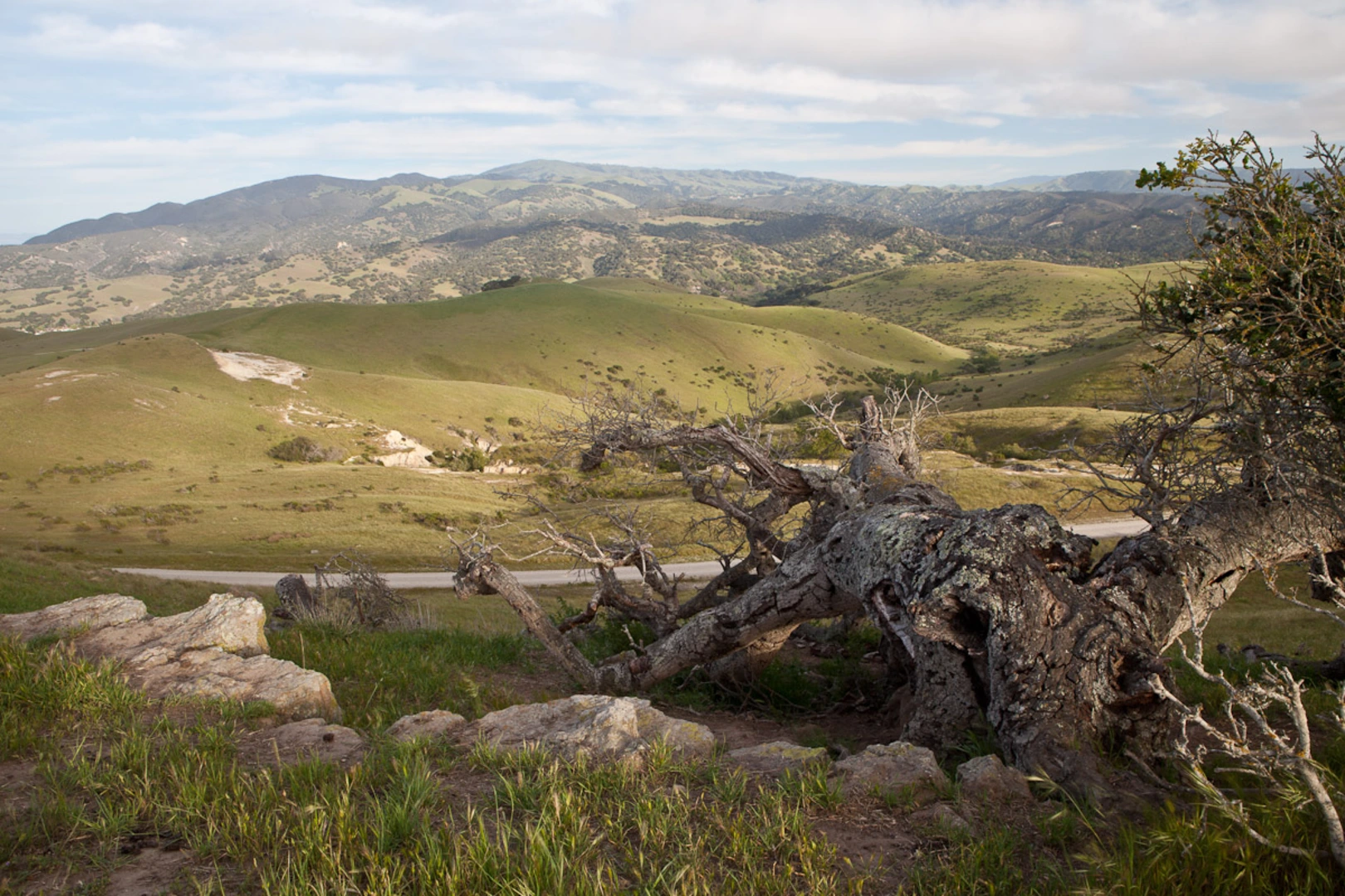 An image depicting the trail El Toro Creek Loop and its surrounding area.