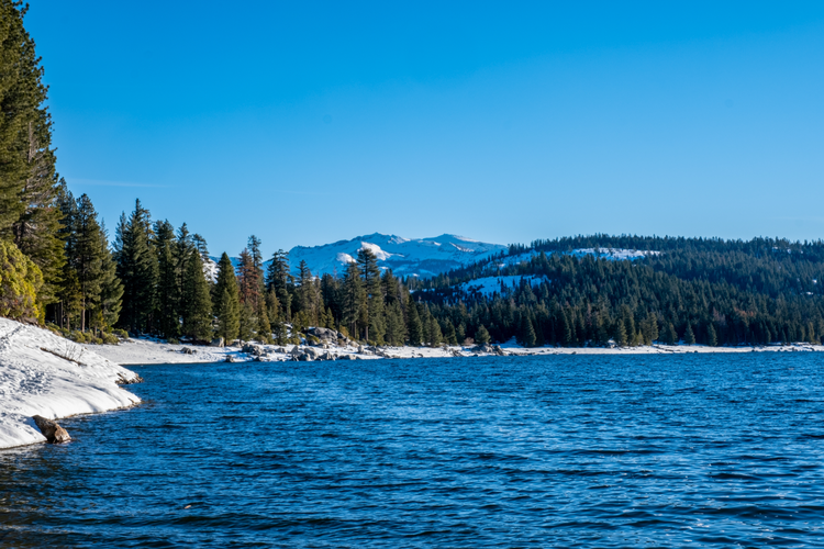 Willow Cove
