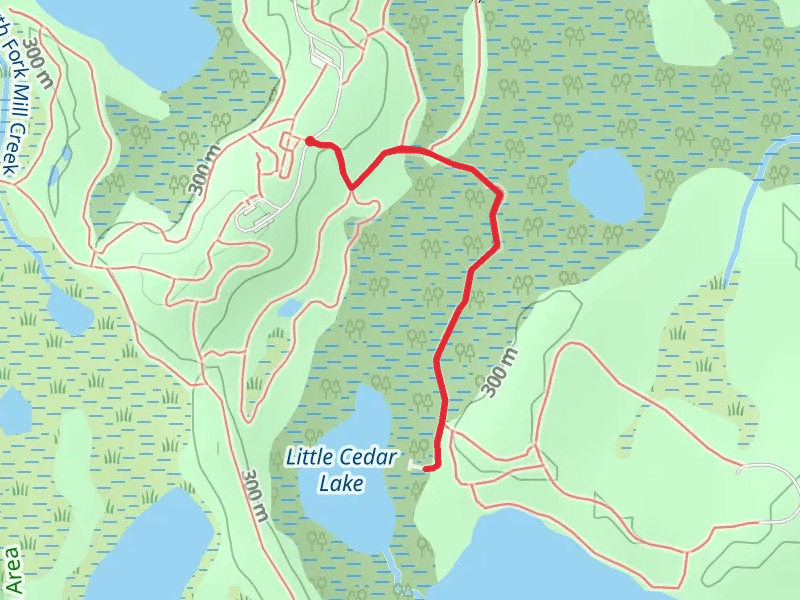 Bog Trail
