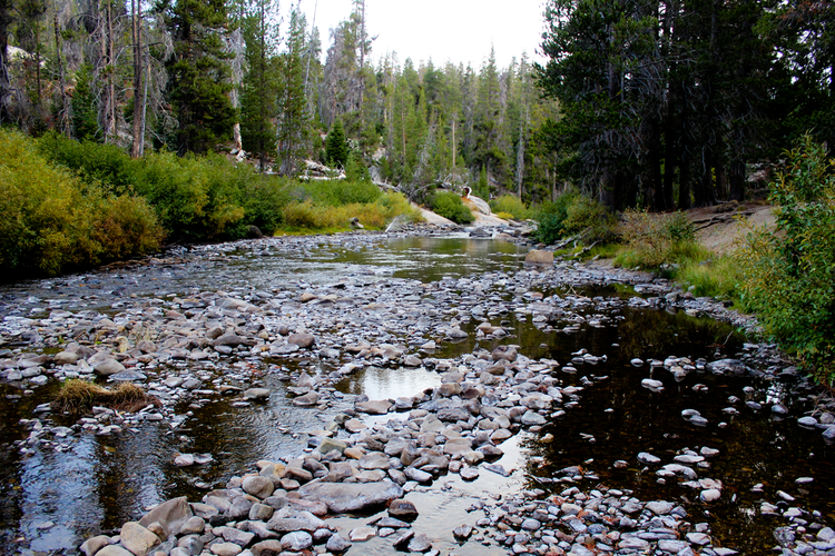 Holcomb Lake via Superior Lake Trail