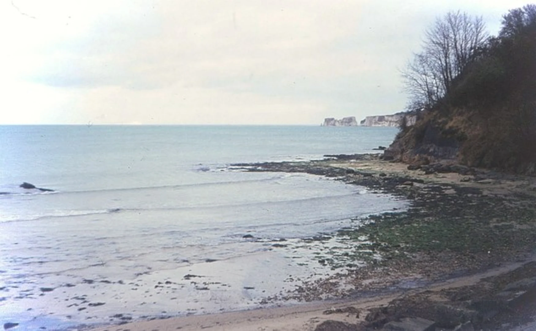 An image depicting the trail South Beach and Viewpoint of Harry Rocks via SWCP and its surrounding area.