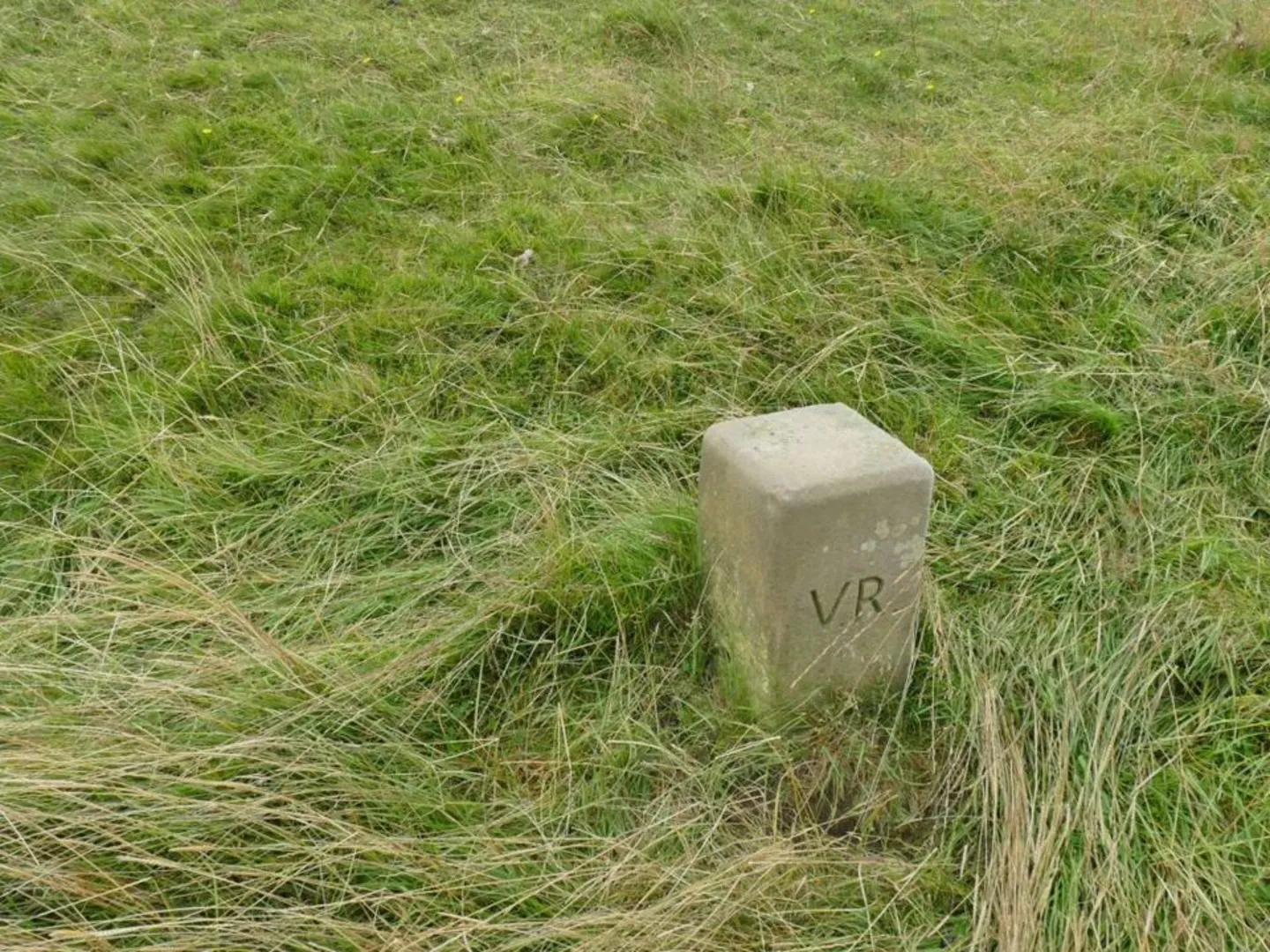 An image depicting the trail Arbor Low Loop and its surrounding area.