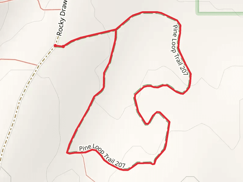 Pine Loop Trail - Rocky Draw Road 50