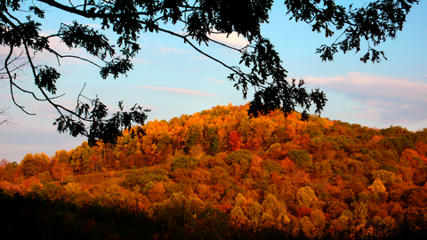 Chestnut Ridge and Chestnut Knob Shelter via Appalachian Trail