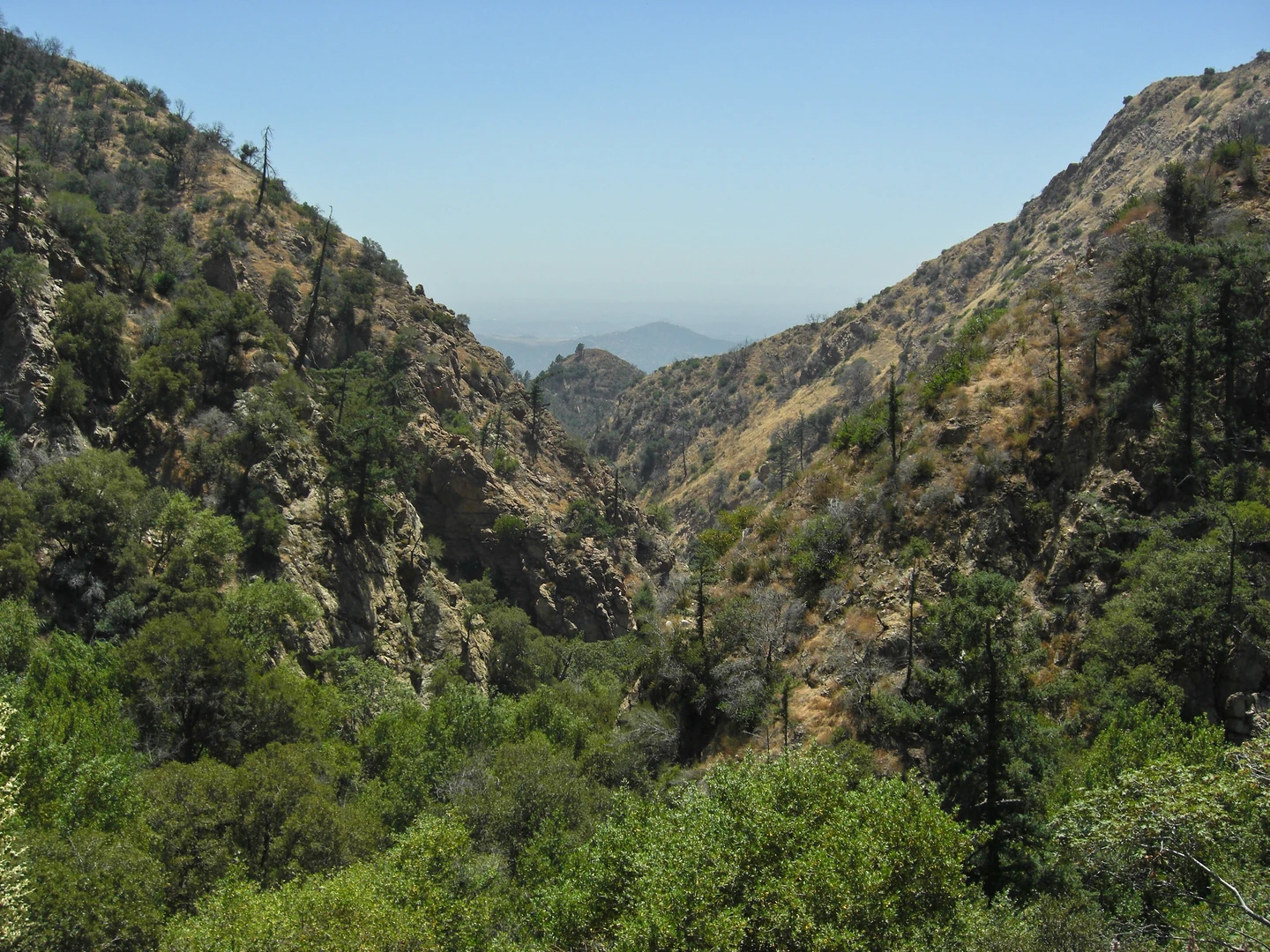 An image depicting the trail Millard Canyon Road and El Prieto Trail and its surrounding area.