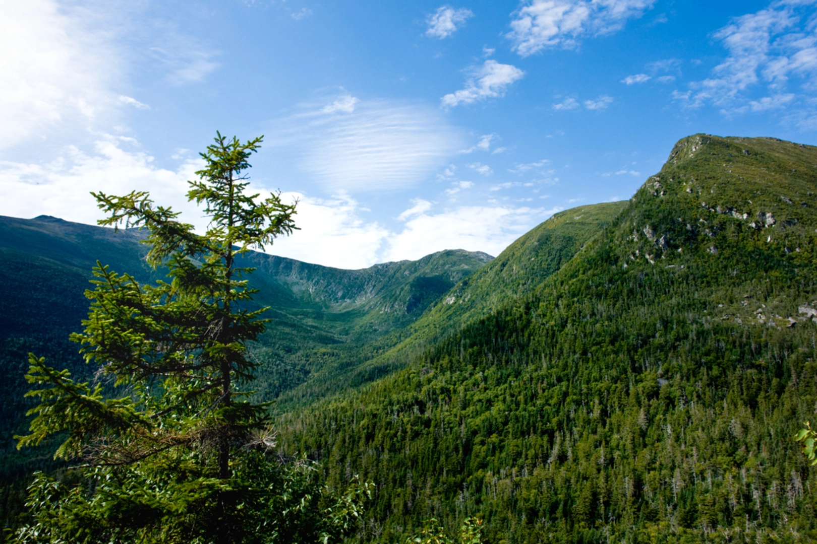 An image depicting the trail Great Gulf Trail to Mount Washington Trail and its surrounding area.