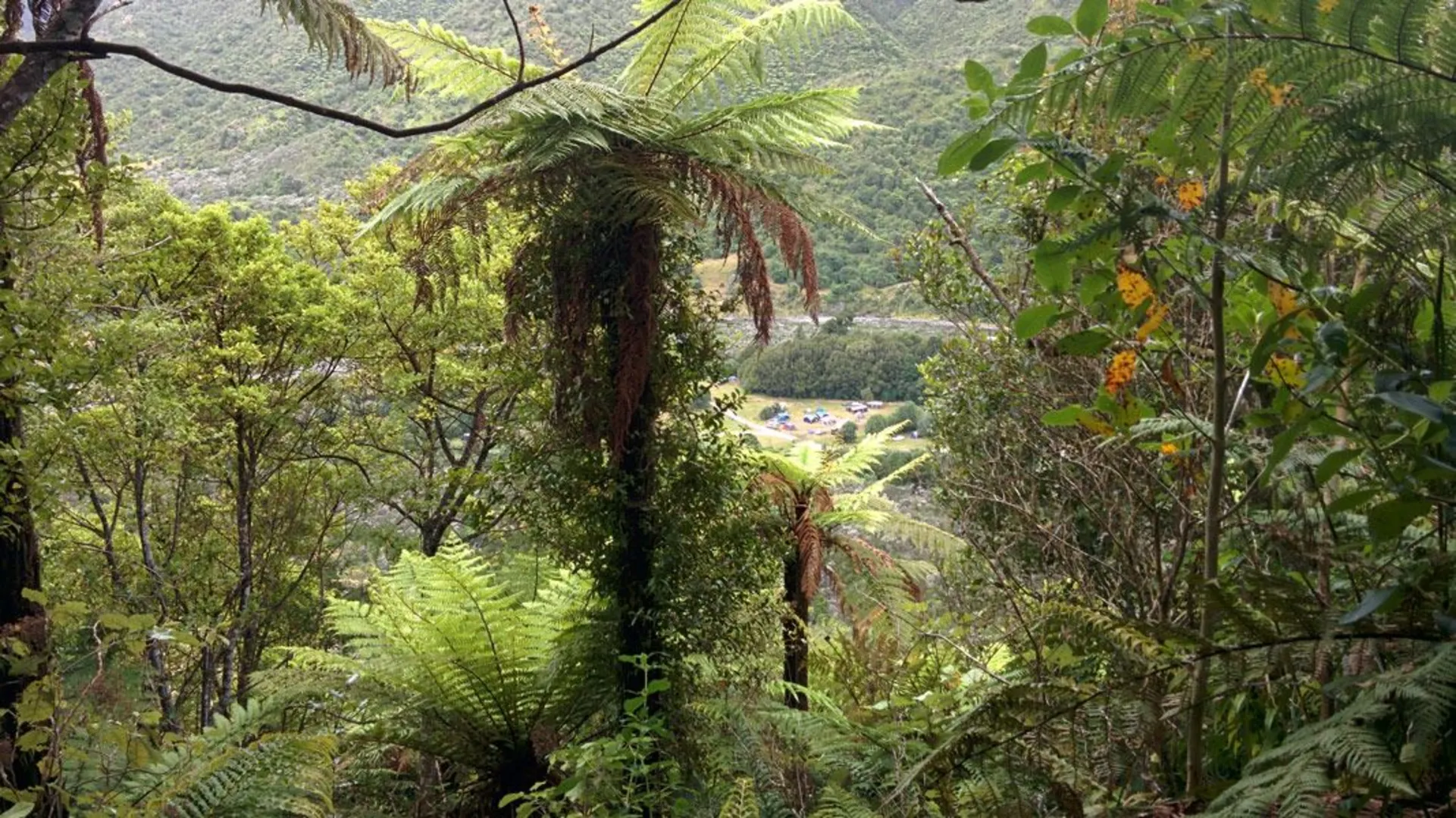 An image depicting the trail Arcus Loop and its surrounding area.
