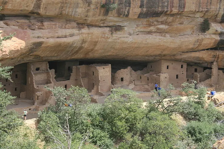 Spruce Tree House Trail