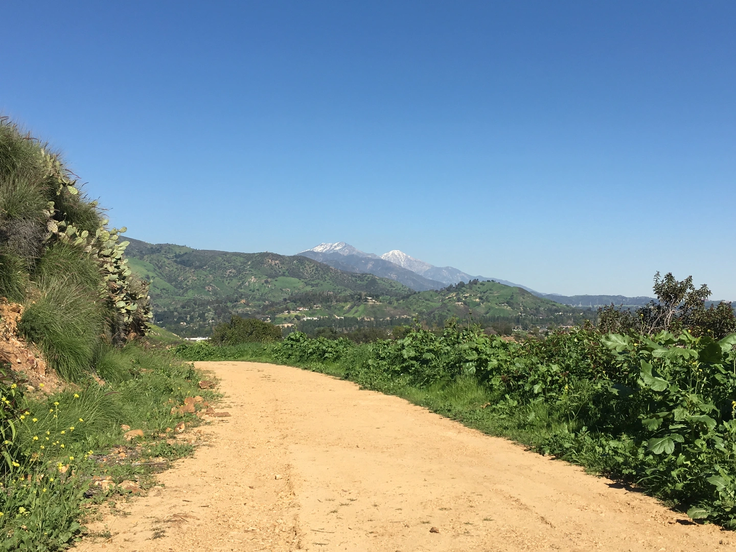 An image depicting the trail Toyon, Mustard and East View North Fork Loop Trail and its surrounding area.