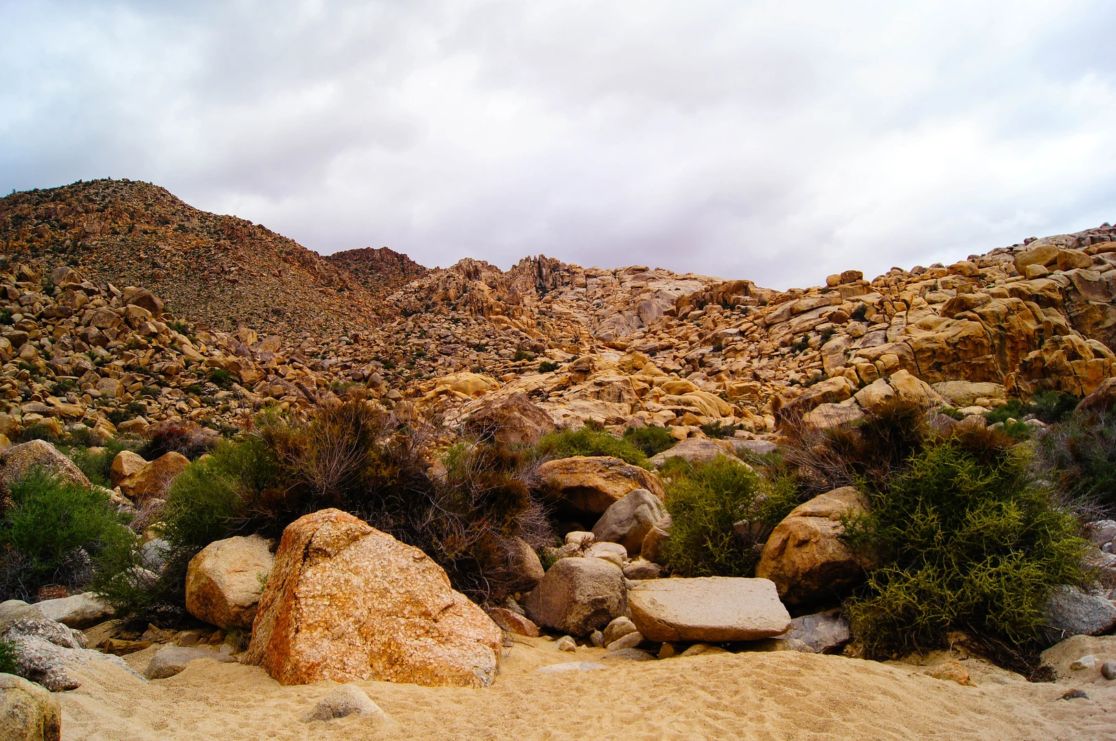 An image depicting the trail Rattlesnake Canyon and Tunnel Loop Trail and its surrounding area.